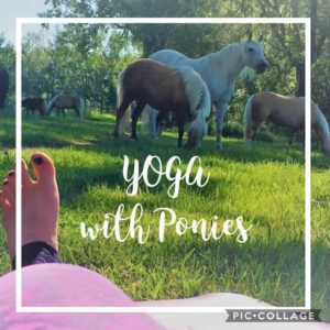 Yogo with Ponies