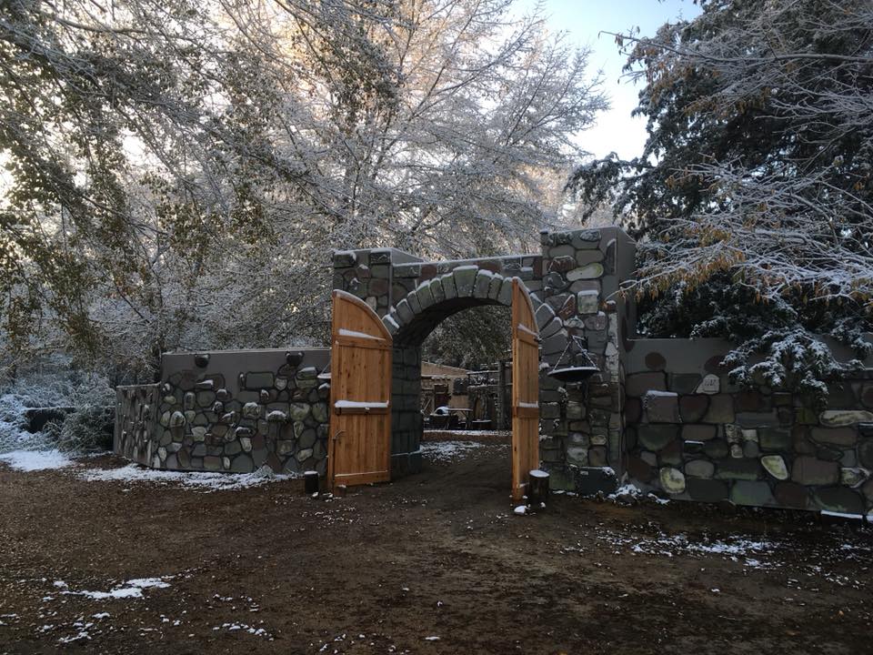 An Eclectic Christmas 12/07/2022 An Eclectic Christmas